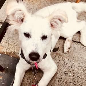 Meet your Posher, Marjorie